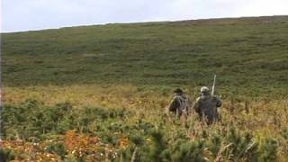 Bear Hunting Kamchatka Peninsula Far East Russia [upl. by Irehs920]