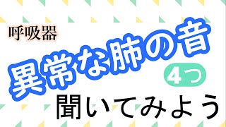 【実習・臨床で役立つ】ラ音の鑑別呼吸器 [upl. by Udela]