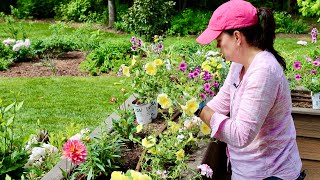 Planting Our Deck Boxes With Loads of Color [upl. by Nimref]