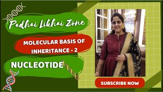 Molecular Basis of Inheritance2biology  neet2024education  molecularbasisofinheritancedna [upl. by Yenmor]