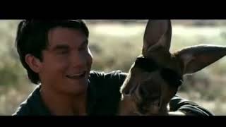 Kangaroo Jack The Kangaroo got the Money Movie CLIP 2003 HD [upl. by Anitsim]