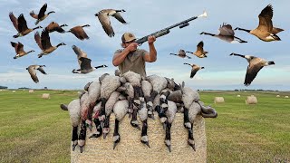 EPIC Opening Day Canada Goose Hunt  Goose Hunting 2022 [upl. by Boarer339]