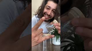 Using coffee grinder to grind egg shells for garden [upl. by Amikan272]