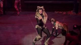 The Rum Tum Tugger  Cats [upl. by Yeltsew]