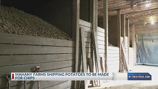 Arkport farm grows potatoes to make chips [upl. by Sjoberg]