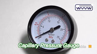 boiler capillary pressure gauge 15 [upl. by Amble]