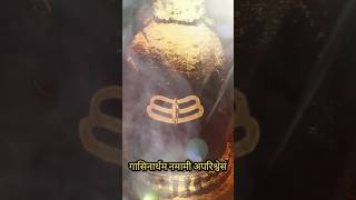 Omkarm sruthi12ज्योतिर्लिंग ytshorts feedshorts mahadev mahakal [upl. by Akcemat]