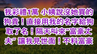 我彩禮1萬 小姨說沒她買的狗貴！直接用我的名字給狗取了名！隔天叫來“富豪丈夫” 讓我見世面！不料富豪 [upl. by Immas]