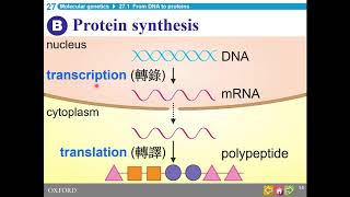 HKDSE Biology  Molecular Genetics  Part 1 [upl. by Doyle]