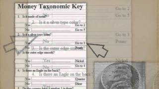 Dichotomous Key Tutorial [upl. by Tijnar]