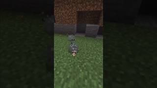 Mining infested stone on Minecraft minecraft minecraftshorts minecraftanimation [upl. by Amilas]