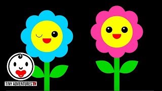 Baby Sensory  Dance Series  Flowers  High Contrast Color Animation fun video for baby [upl. by Buyer142]