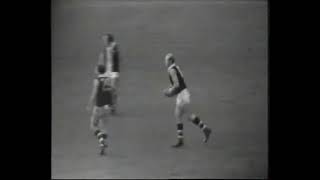 Carl Ditterich VFLAFL Highlights St Kilda Football Club [upl. by Hutson]