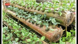 Amazing Farming ideas for Your Home amp Garden [upl. by Laine]