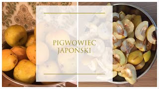 NALEWKA Z GÓRNEJ PÓŁKI z pigwowca japońskiego [upl. by Ekul534]