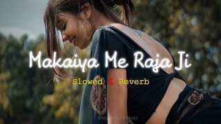 Makaiya Me Raja Ji  Slowed Reverb [upl. by Ahsote]