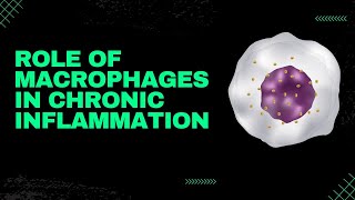 ROLE OF MACROPHAGES IN CHRONIC INFLAMMATIONMBBS PATHOLOGY NOTESCHRONIC INFLAMMATION [upl. by Nahej60]