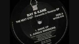 Bay B Kane  Wake Up [upl. by Jenilee]