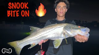 SNOOK AND TARPON SLAY MULLET RUN ACTION POMPANO BEACH FLORIDA [upl. by Namilus559]