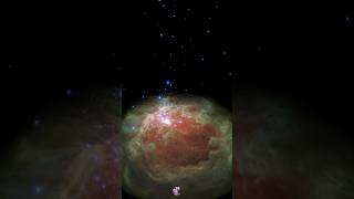 Flight through the Orion Nebula Visible vs Infrared light comparison space nebula foryou short [upl. by Maddi]