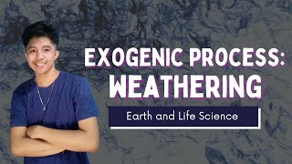 Updated EXOGENIC PROCESS WEATHERING Filipino  Earth and Life Science [upl. by Antonina]