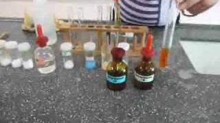 Video  IronIII Ion Test [upl. by Atterahs527]