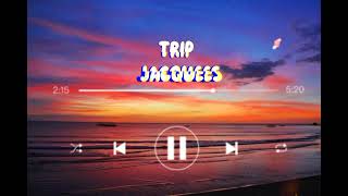 Jacquees  Trip  Lyrics  Trip Trip Tripping on you [upl. by Tennos172]