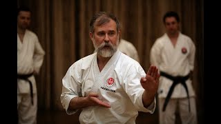 Asai Kata Dai Itsu KenBassai Kihon and Bunkai step by step Dormenko Sensei 8 dan [upl. by Nive]