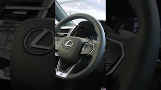 Pohanka Lexus 2024 RX 500h F Sport Iridium Short Chantilly Dale City VA DC [upl. by Ialohcin769]