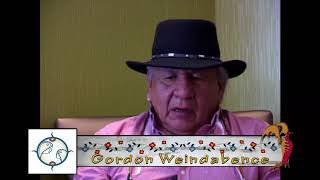 The Path to Anishinaabe Aadziwin The Red Road  Gordon Waindubence Interview [upl. by Drahnreb320]