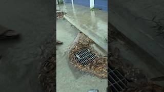 Cleaning Culvert Drain Rain Water unclog remove drain rainwater shorts [upl. by Travers180]