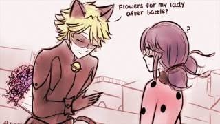 quotFlowersquot Miraculous Ladybug Comic Dub [upl. by Hsitirb]