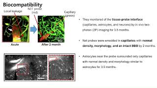 저널미팅 Ultraflexible nanoelectronic probes from reliable glial scarfree neural integration [upl. by Notyad]