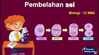 Pembelahan sel  Biologi kelas 12 SMA [upl. by Fritts]