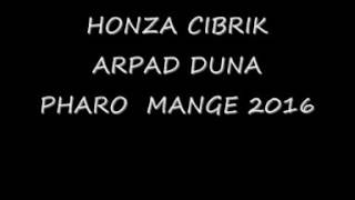 honza cibrik arpi duna pharo mange 2016 [upl. by Adiel]