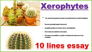 Xerophytes  10 lines essay on Xerophytes  10 lines on Xerophytes [upl. by Hesta]