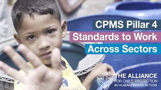 CPMS Pillar 4 Standards to Work Across Sectors [upl. by Edobalo647]