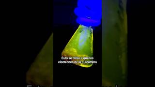 Alimentos fluorescentes 😲🧪🔦 bacillandociencia laboratoriodeciencias fluorescence experiments [upl. by Erot431]