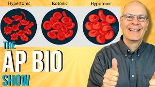 Essential for AP Bio Osmosis and Water Potential [upl. by Algy]