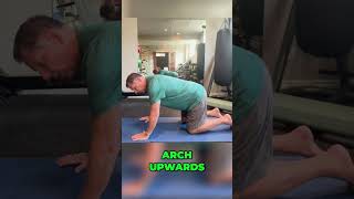 Cat Camel Stretch for Back Pain Disc Bulges and Spinal Mobility  Dr John Zielonka [upl. by Arihat45]