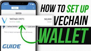 VeChain Ledger Nano S Wallet Guide [upl. by Vyner]