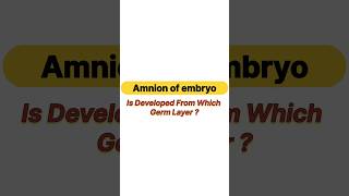 Amnion of Embryo is developed from which germ layer [upl. by Hpesojnhoj504]