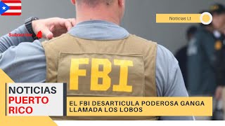 FBI desarticula poderosa GANGA LOS LOBOS  NOTICIAS PR [upl. by Laenahtan654]