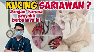 AWAS ‼️BAHAYA SARIAWAN PADA KUCING  drh Mirza Yusa  DOKTER HEWAN [upl. by Aitnom]