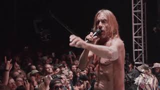 Iggy Pop  Gimme Danger  Desert Daze 2017 [upl. by Gina]