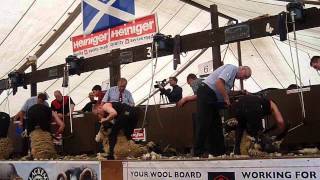 Lochearnhead Shears 2013  Senior Final [upl. by Cynthla]