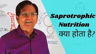 Saprotrophs क्या होते हैं  Grade 10 Biology [upl. by Junji462]