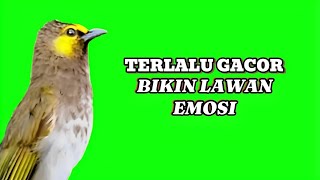 gacor nya gak ketolong bikin lawan emosi [upl. by Ical]