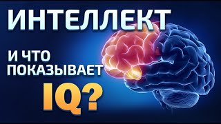 Почему тест на IQ запрещен в Америке [upl. by Schreibe296]