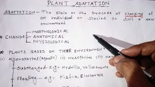 Plant AdaptationHydrophytesBriefly explained [upl. by Ennovad]